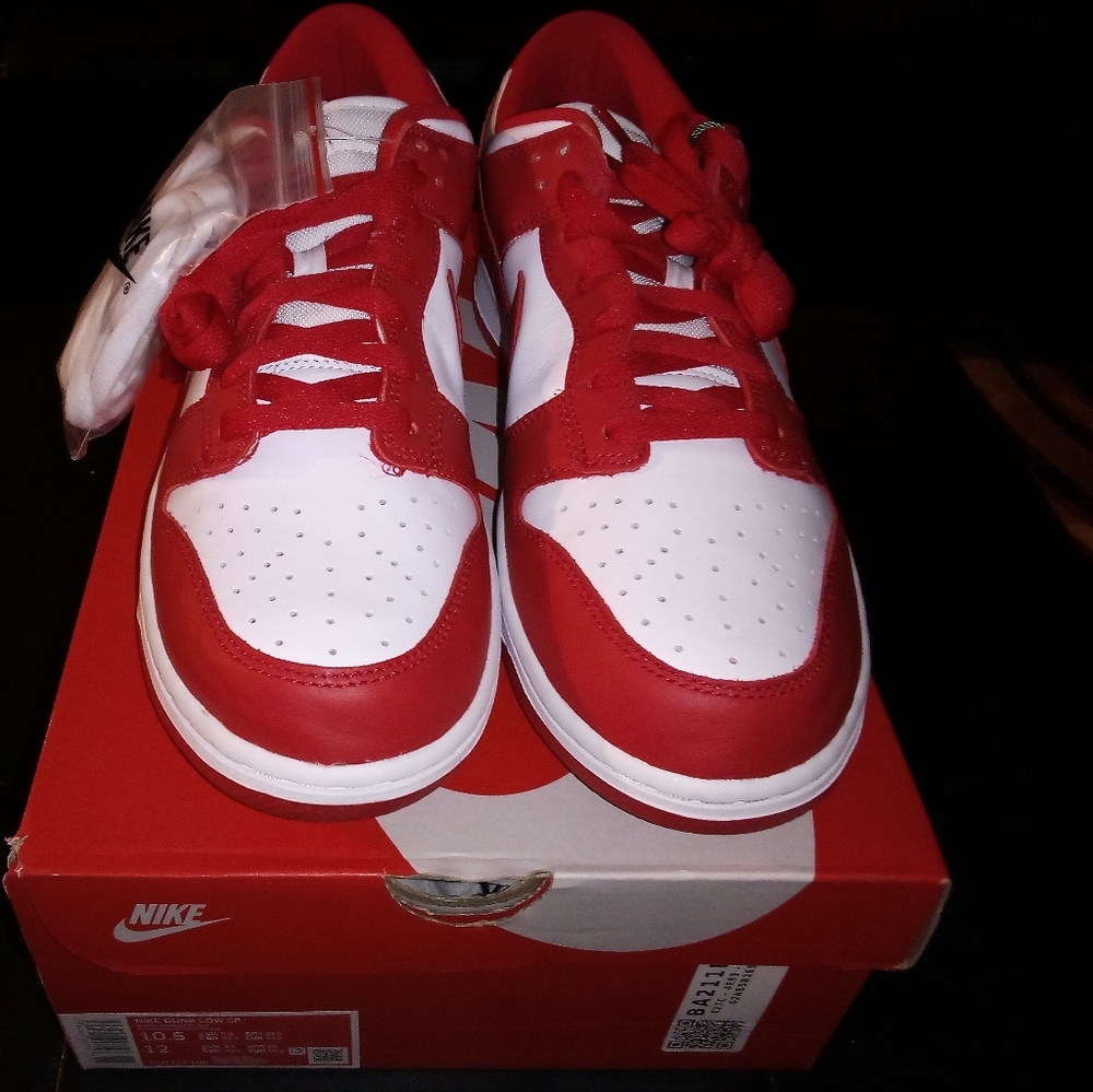 Dunk low st.paul